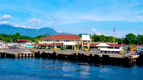 dumaguete sea port|5.
